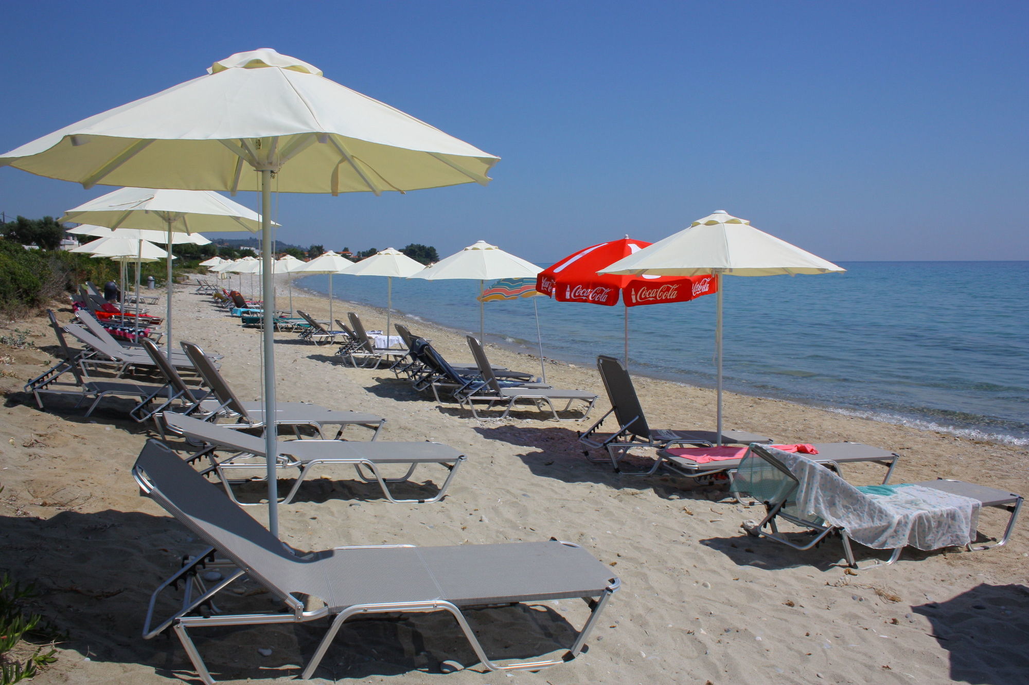 Skion Palace Beach Hotel-Bungalows&Boutique Hotel Nea Skioni Facilités photo